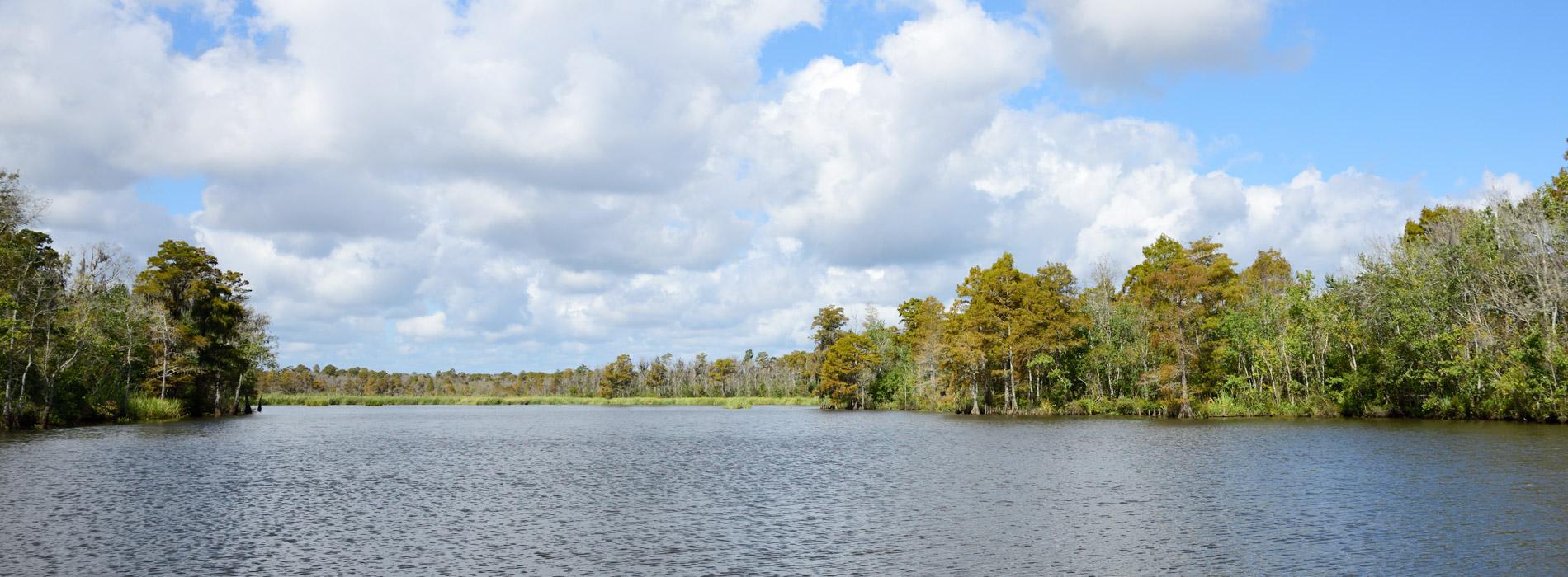 Mississippi Waterway